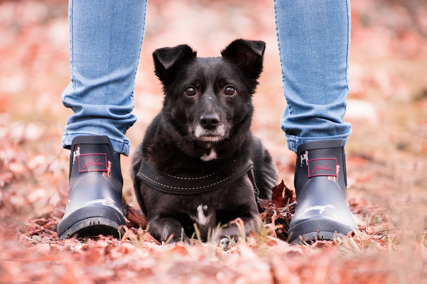 Neoprenstiefel – Top Modelle vorgestellt