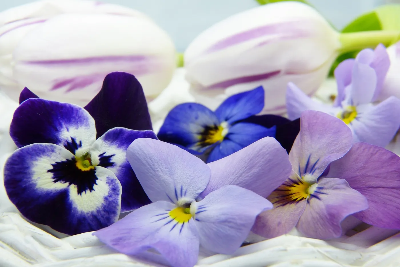 Essbare Blüten