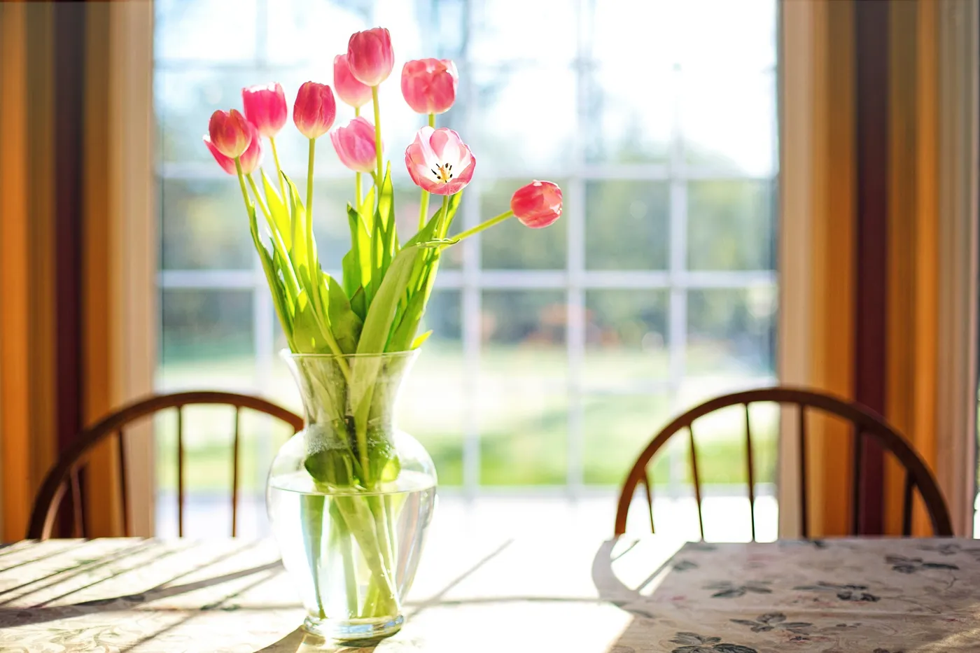 Mit Blumen die Natur nach Hause bringen