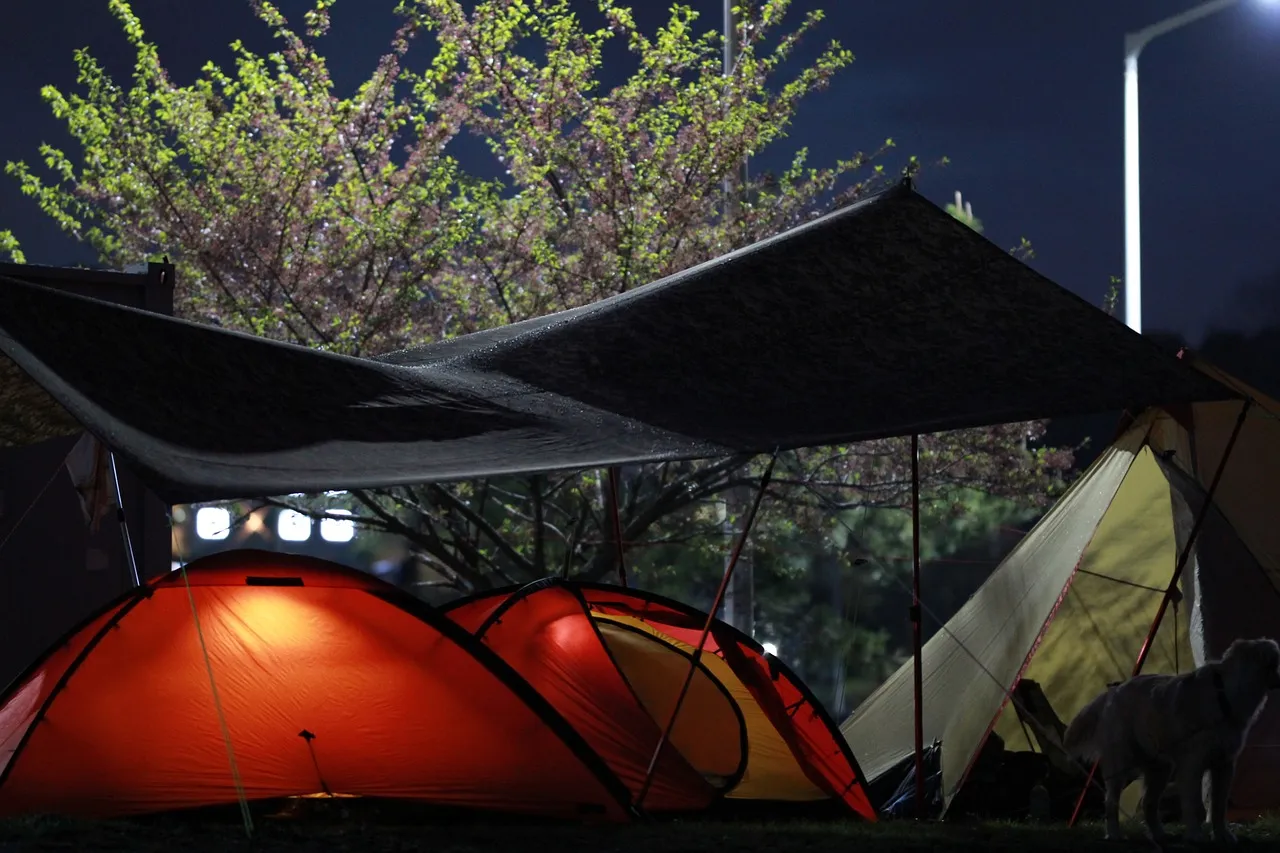 Camping Pavillon – Sonnenschutz für das mobile Zuhause