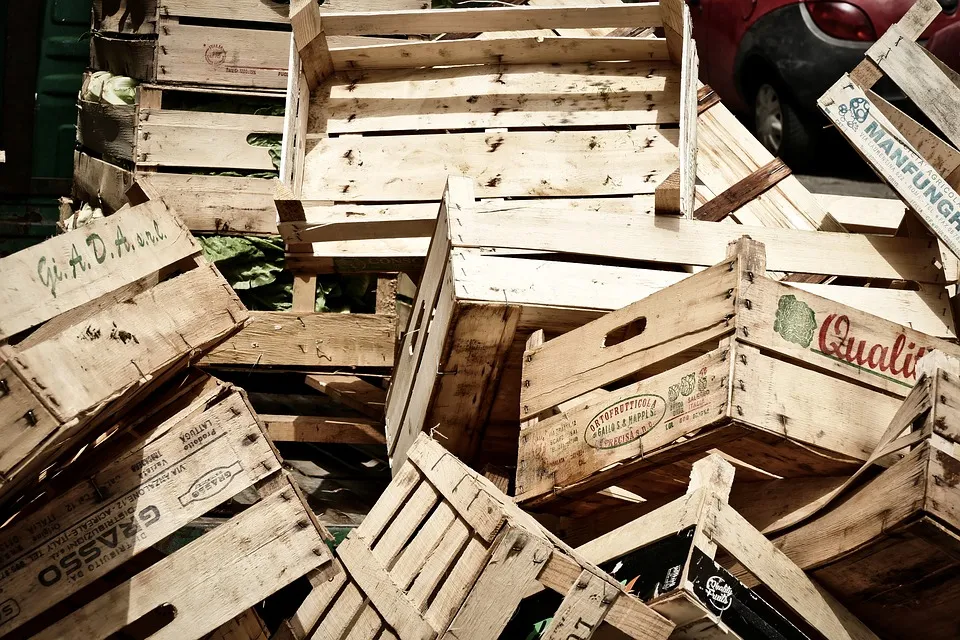 Food Waste und seine Folgen