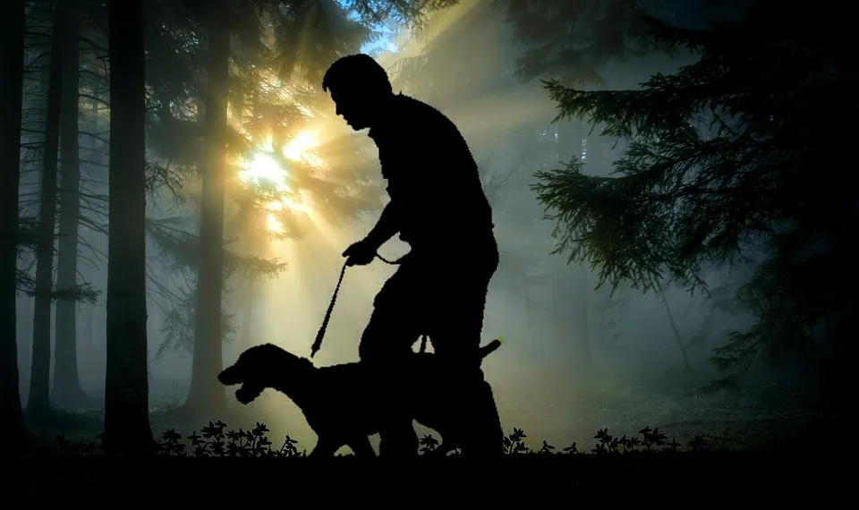 Jagdhunde in Not! Gut, dass es Helfer gibt!