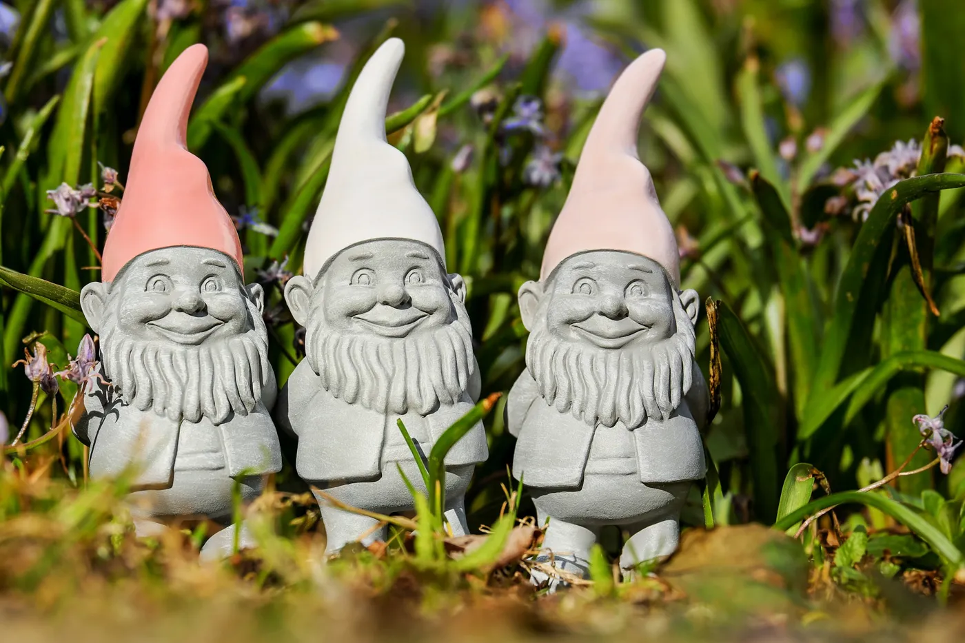 Die Geschichte der Gartenzwerge