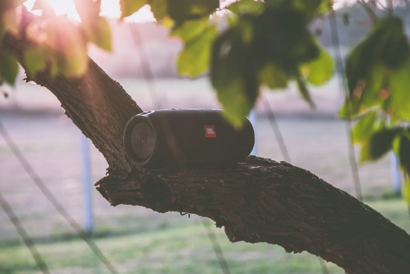 Musik hören im Garten mit Bluetooth Lautsprechern