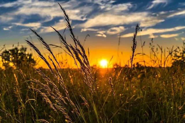 Eine landwirtschaftliche Partnervermittlung finden, die wirklich funktioniert!