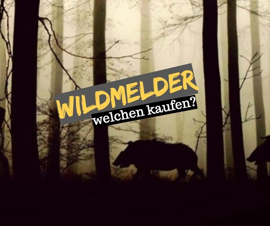 Wildmelder – Welchen kaufen?