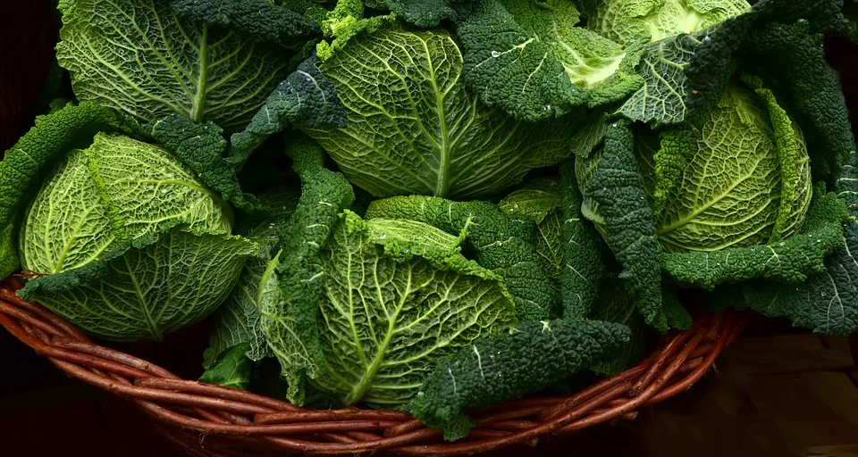 Wirsing Rezept und Tipps