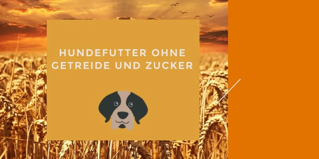 Hundefutter ohne Getreide und Zucker