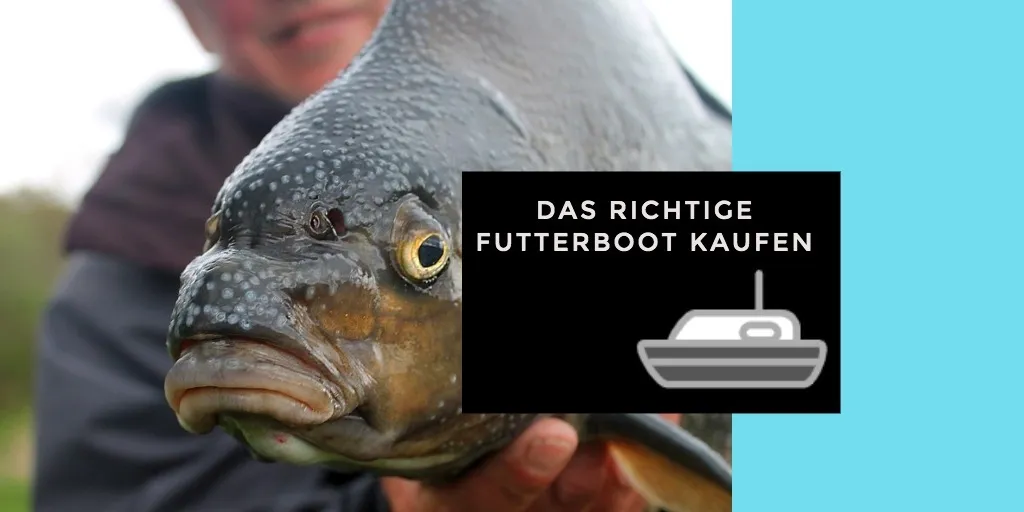 Das richtige Futterboot kaufen