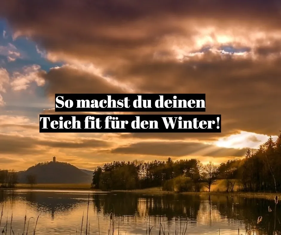 Teich fit für den Winter machen