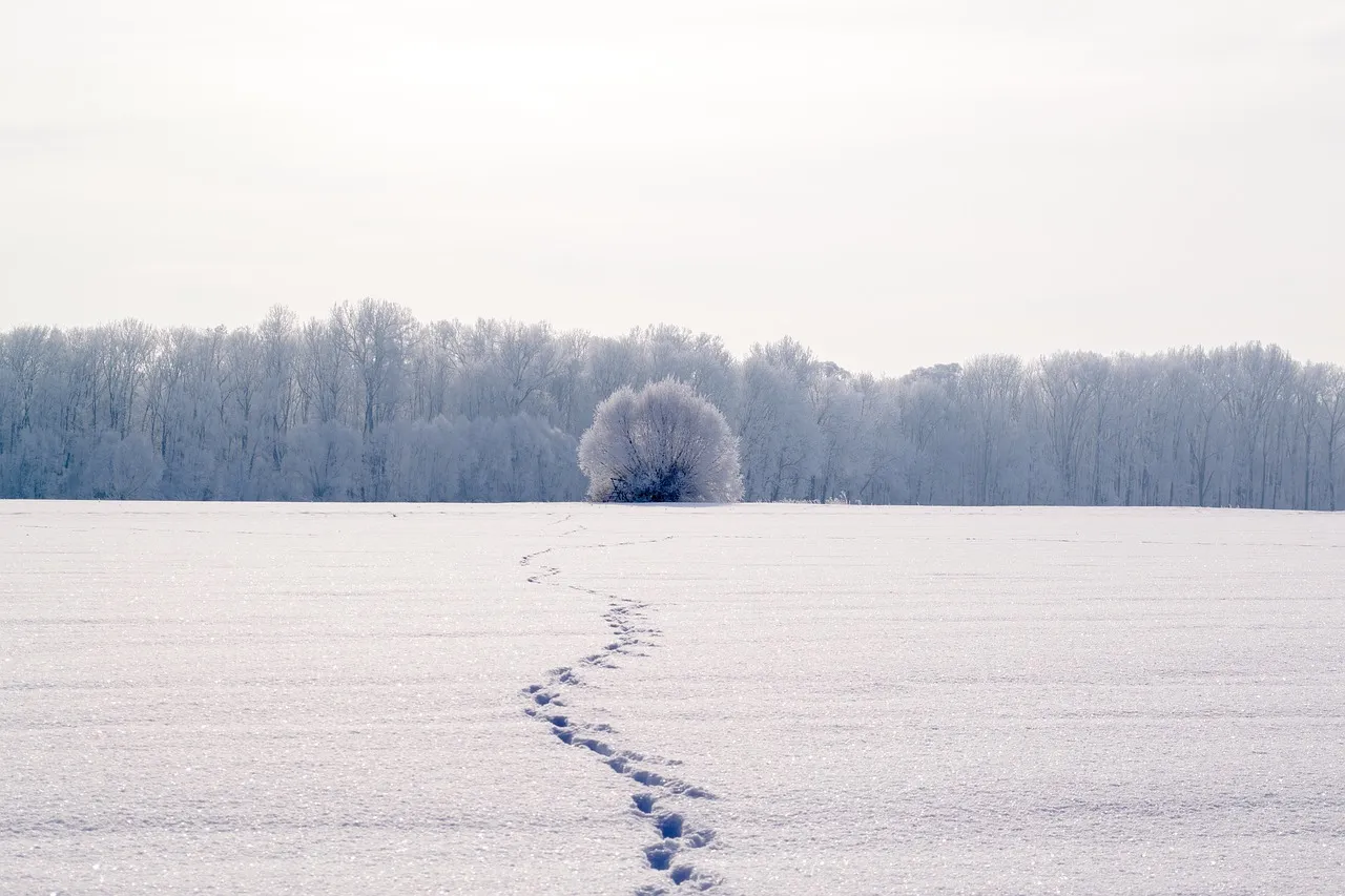 Winter Sneaker für Herren: Stil und Bequemlichkeit vereint