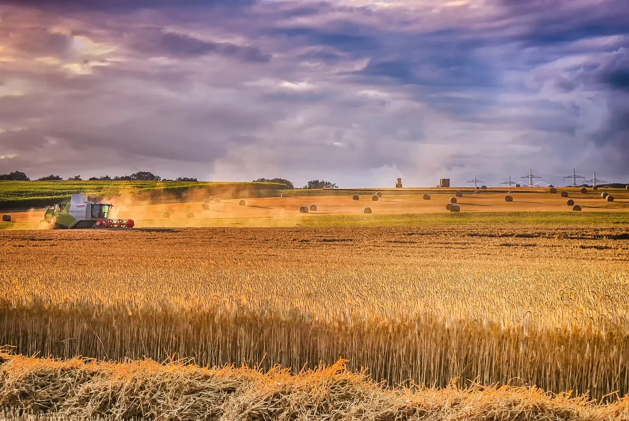 Bodenfräsen: Der Schlüssel zu gesundem Boden und erfolgreicher Landwirtschaft