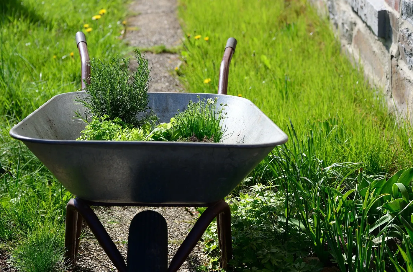 Gartenarbeit für den Sommer – Wertvolle Tipps