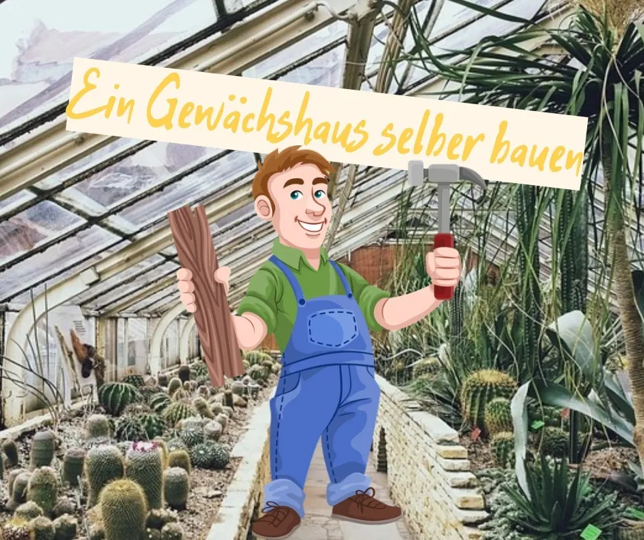 Gewächshaus selber bauen – So gehts!