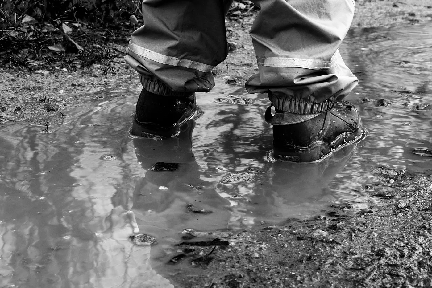Unsere Top -Gummistiefel für die Jagd!