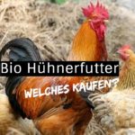 hühnerfutter bio