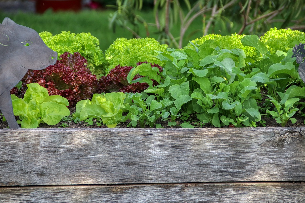 hochbeet garten